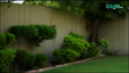 Shehzadi House - Episode 35